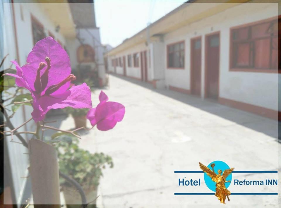 Hotel Reforma Inn 克雷塔罗 外观 照片