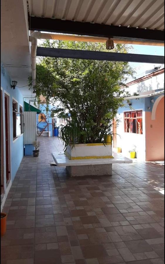 Hotel Reforma Inn 克雷塔罗 外观 照片